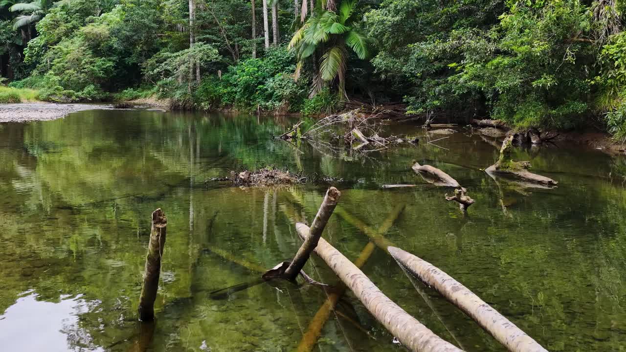 Aerial footage captures a tranquil creek surrounded by lush rainforest in Port Douglas, Australia, with calm water and vibrant greenery