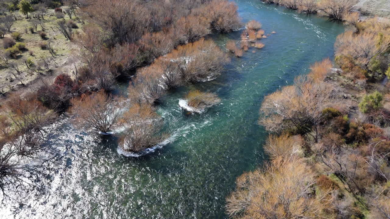 Drone flight over a flowing river with trees and plants, water streams fast, meadow around, sunlight, dolly shot from above