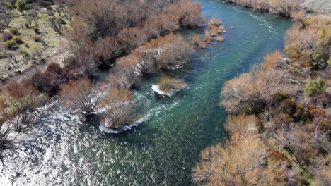 drone flight over a flowing river with trees and plants, water streams fast, meadow around, sunlight, dolly shot from above