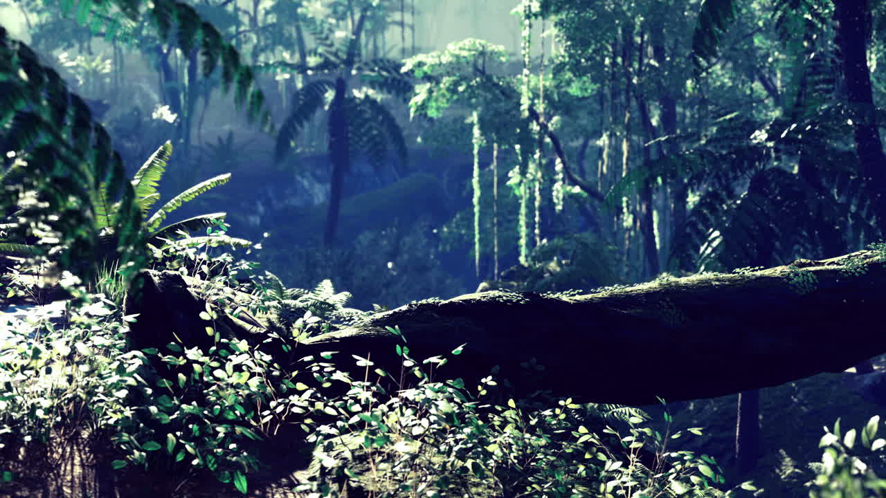 활기찬 잎자루와 나무를 통해 필터링되는 빛으로 푸른 정글