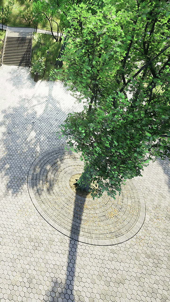 Beautiful tree casting shadows over a circular stone pathway in a serene park