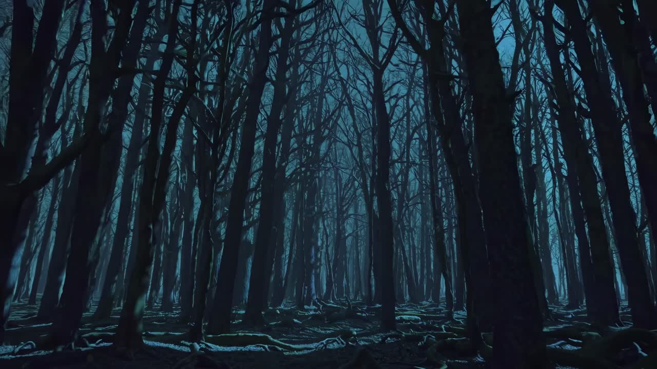 Eerie forest scene with bare trees under moonlight, captured from a low-angle