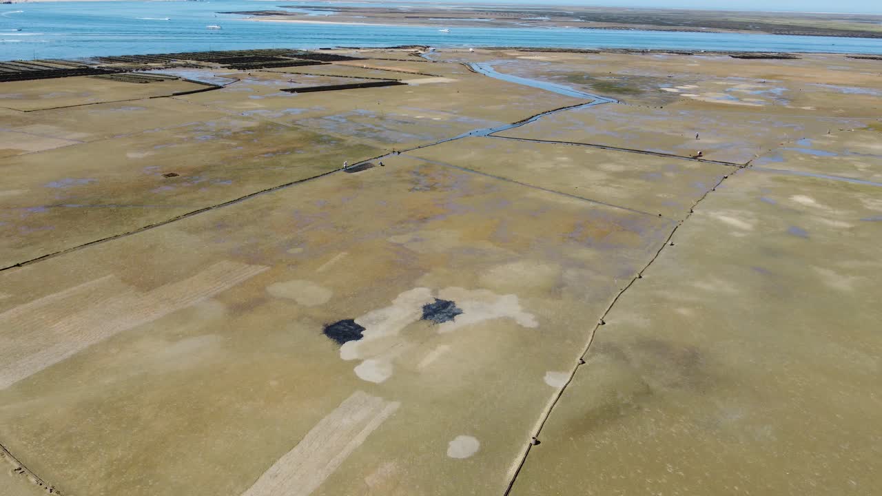 Ria Formosa flodleje med skaldyrsproduktion og yachter ankret i floden