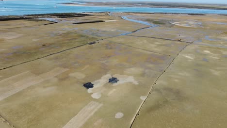 Ria Formosa riverbed with shellfish production and yachts anchored in the river