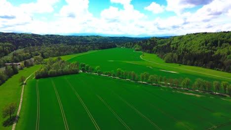 Drone-Vuela-Sobre-Bosques-Y-Campos-En-Verano-4k