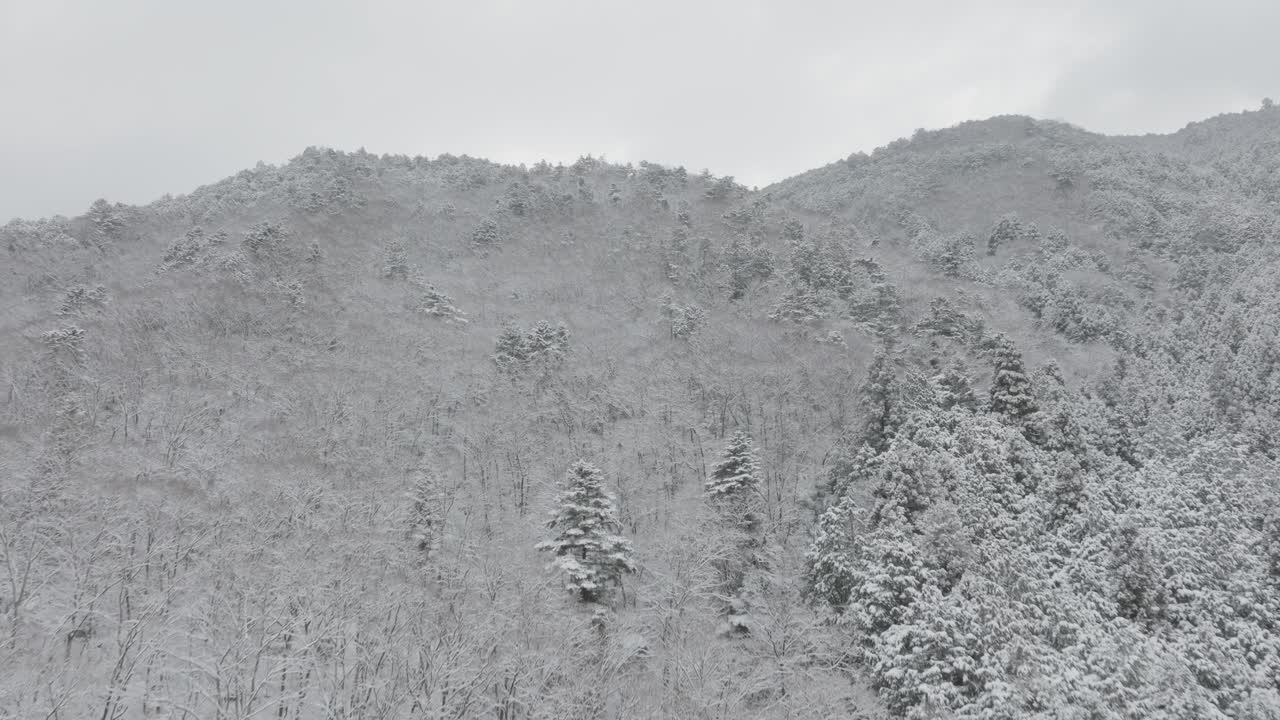 Aerial Drone View of Snow Covered Mount Hiei Kyoto Japan Winter Landscape