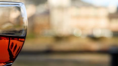 a detailed view of a wine glass filled with red liquid against a blurred background.