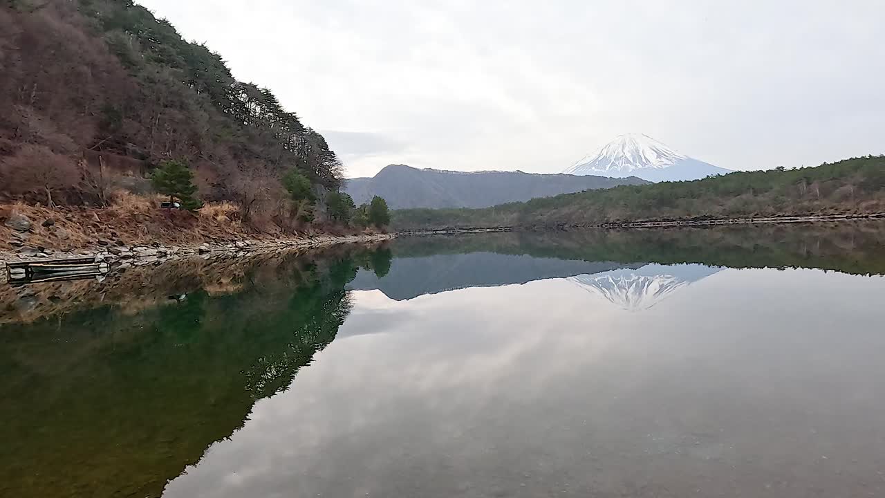 A tranquil scene of Mount Fuji mirrored in the still waters of Lake Saiko, captured under soft, overcast lighting