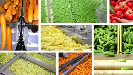 procesamiento de hortalizas en la industria alimentaria, pantalla múltiple
