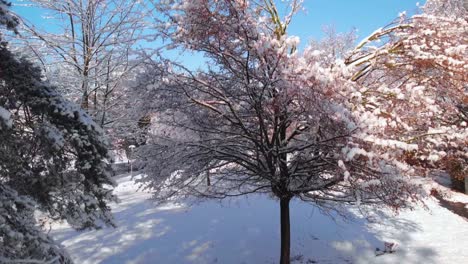 Hermosa-Luz-Matinal-Que-Cae-Sobre-Los-árboles-Nevados-En-Austria,-Toma-Aérea