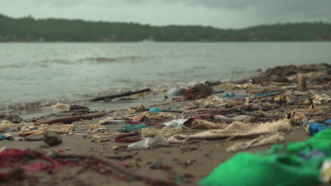 Rifiuti sulla spiaggia di Goa, che evidenziano il problema dell'inquinamento e dell'abbandono dei rifiuti. Necessità di una migliore gestione dei rifiuti e conservazione. Minaccia per l'ecosistema e la fauna selvatica con foresta sfocata sullo sfondo
