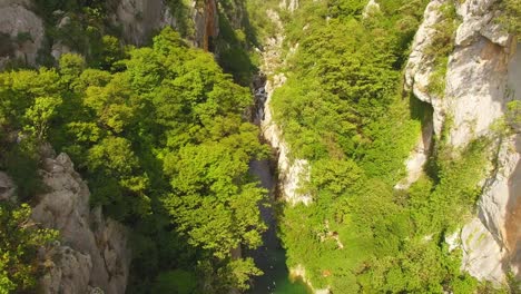 una bellissima vista del canyon di montagna