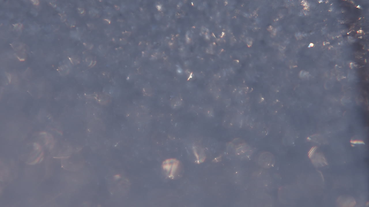 땅 위 에 있는 눈 의 근접 촬영