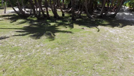 Luftbild-Von-Grande-Soeur,-Einer-Insel-Der-Seychellen