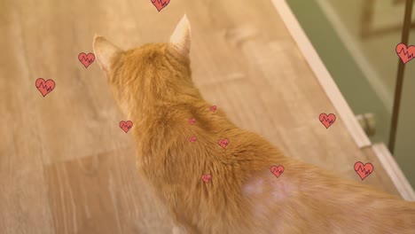 animation of falling hearts icons over ginger cat