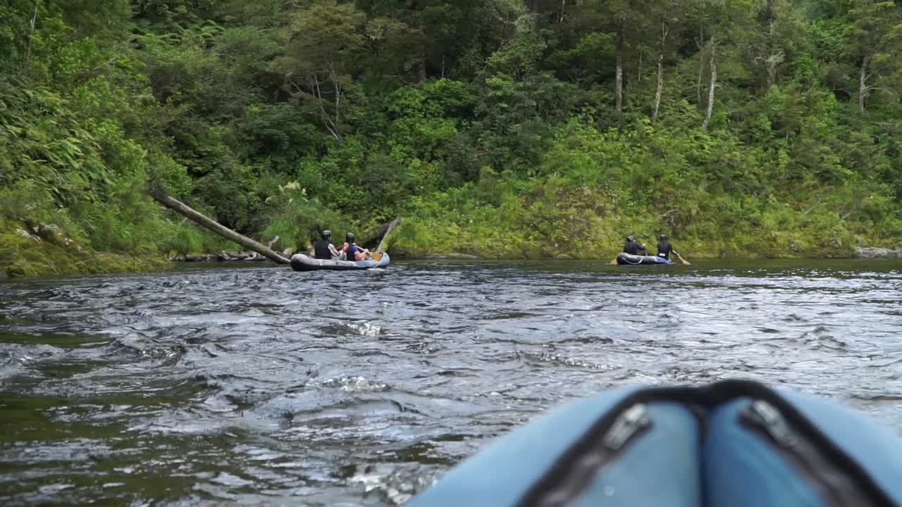 Familie på tur padler i kano på den smukke, uberørte, klare blå Pelorus-flod i New Zealand med frodig indfødt skov i baggrunden.