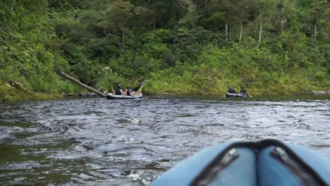 family on tour canoeing in beautiful pristine blue clear pelorus river in new zealand with native lush forrest in background