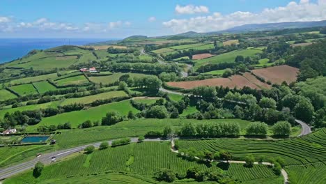 Lush-green-fields-and-rolling-hills-in-Sao-Miguel,-Azores-under-a-bright-blue-sky