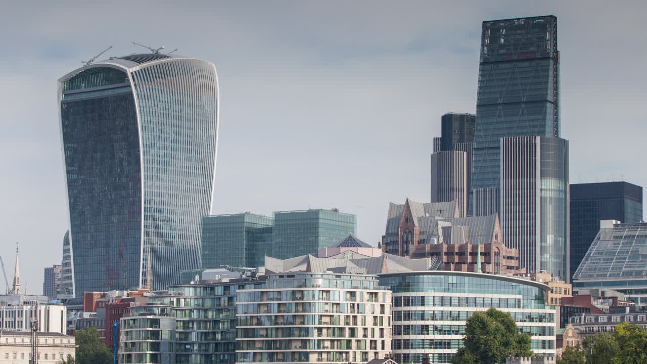 작은 오이 모닝 팬 4k 01