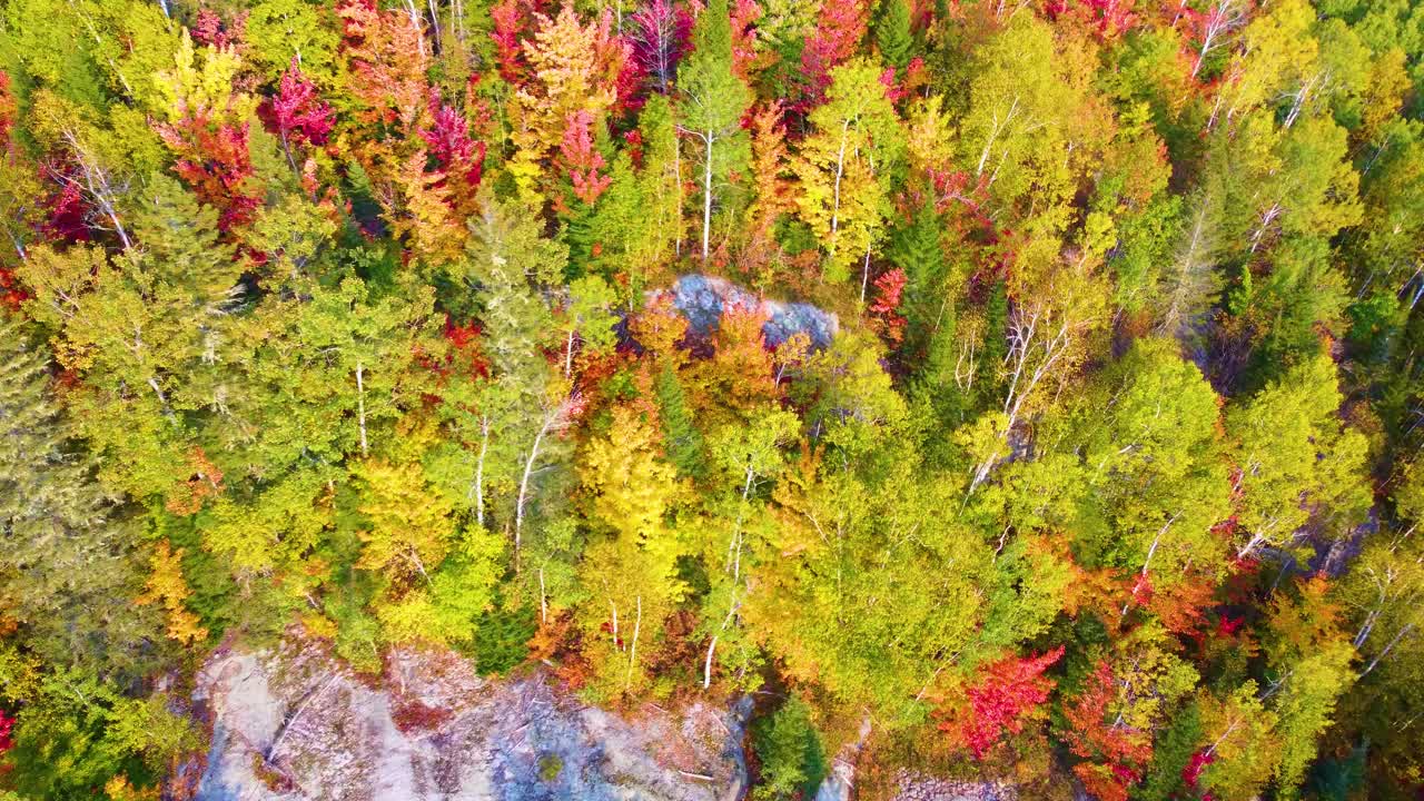 Fall foliage in rocky terrain in Northern Ontario, Canada