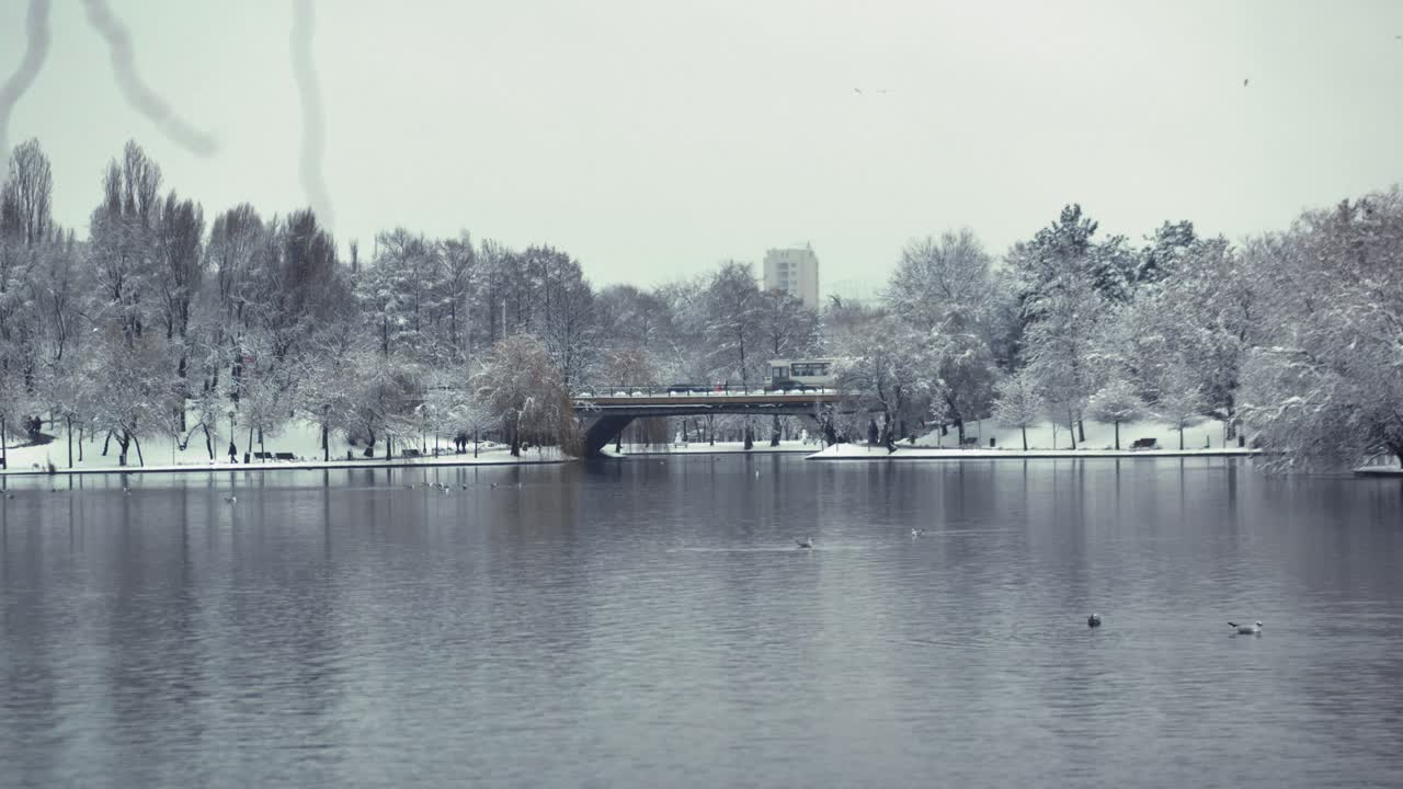 공원 내의 호수, 건물, 다리와 함께 눈이 내린 겨울에 교통이 있는 도시 풍경의 광각 정적