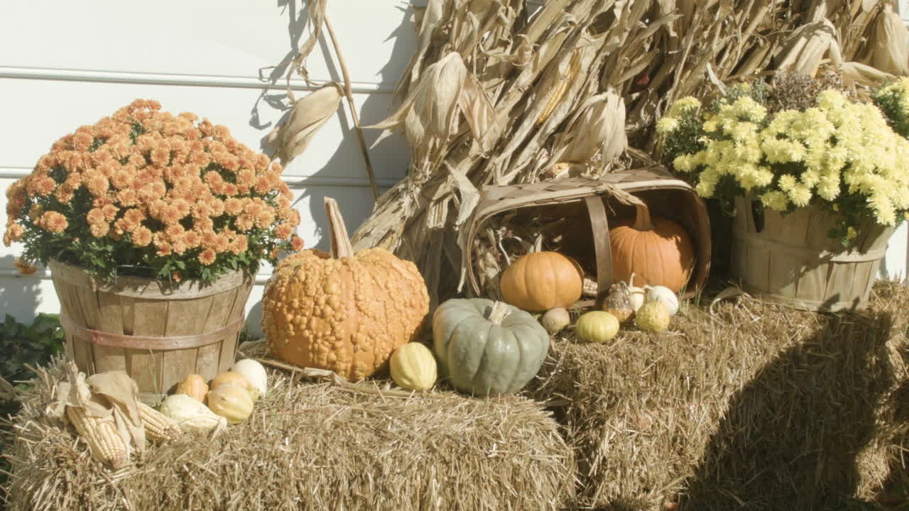 가 장식에 닫습니다. 흰색 물막이 집