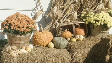 close up on autumn decorations.  white clapboard house