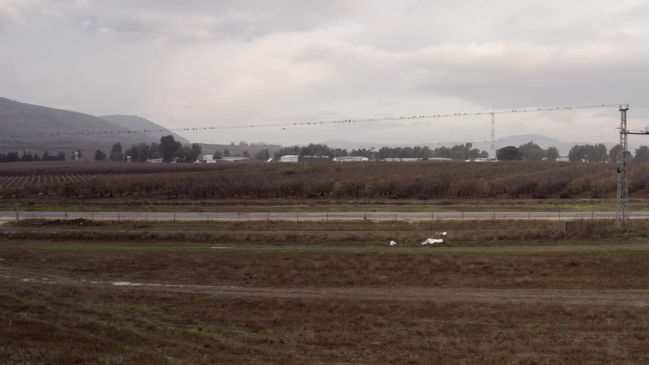 paisaje rural con aves en líneas eléctricas