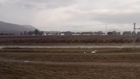 rural landscape with birds on power lines