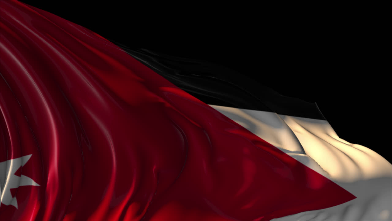 팔레스타인 발이 3d로 흔들리고 있습니다.