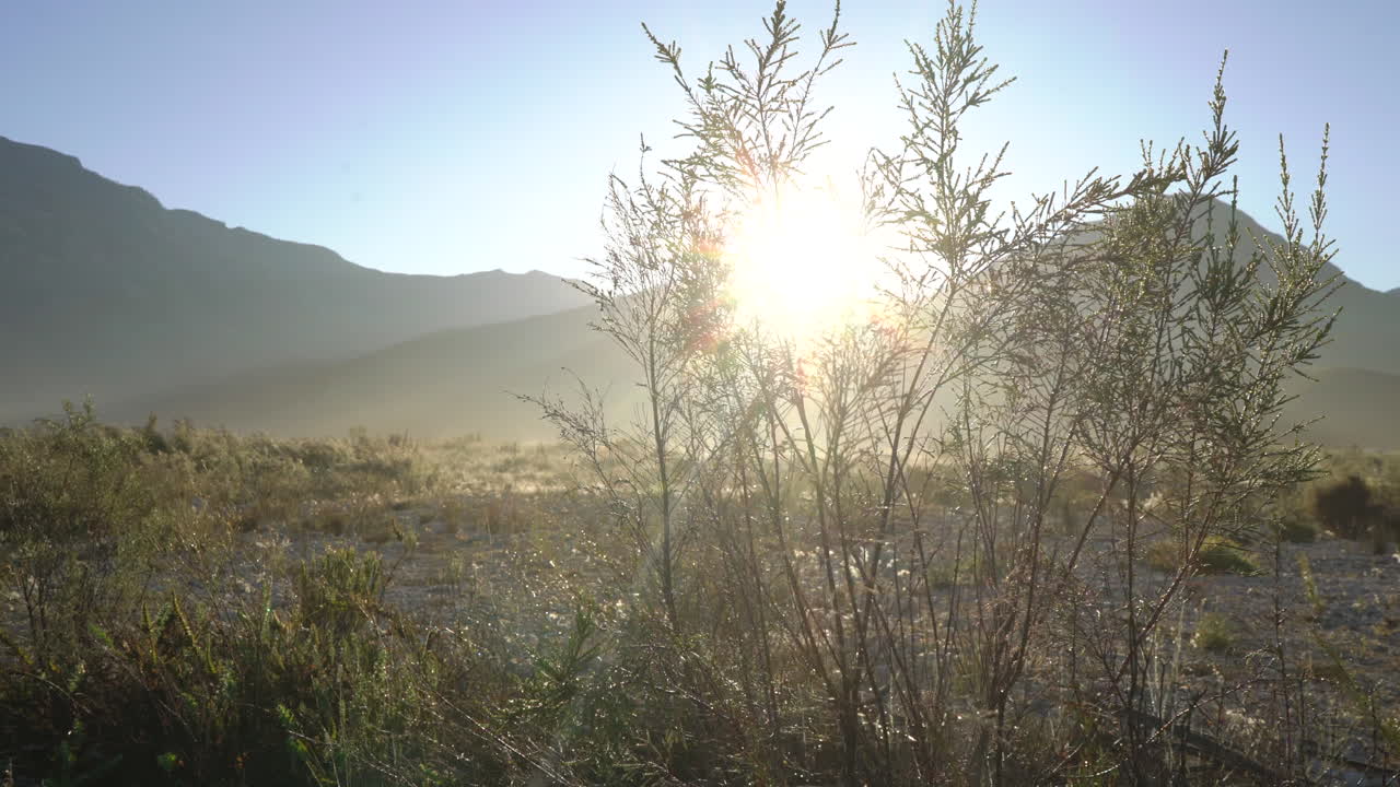 Sunrise over a Mountain Desert Landscape