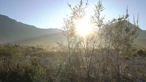 sunrise over a mountain desert landscape