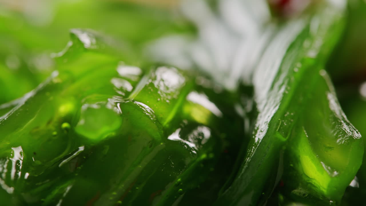 Japanese wakame chuka fermented food. Close-up on a detail of Hiyashi Wakame Chuka or seaweed salad or seaweed with sesame seeds on a plate. Top view. Seafood background. Health concept.
