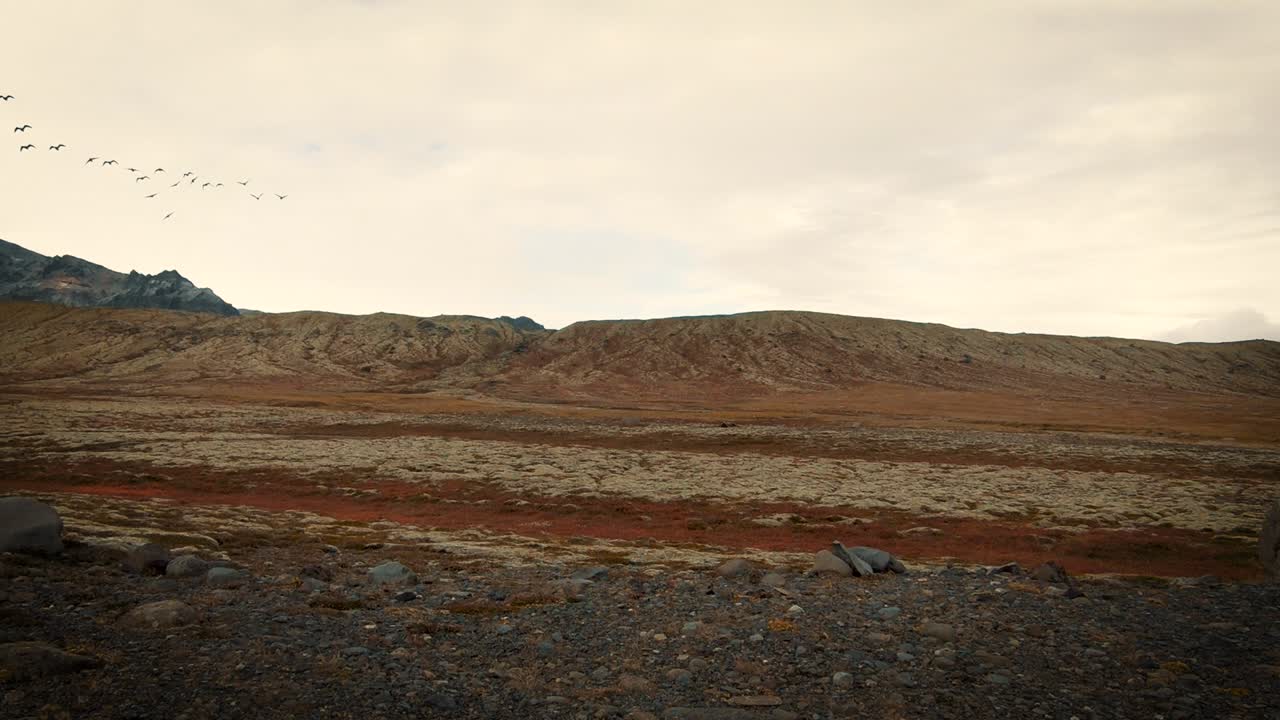 Birds Flying Over a Mountain Landscape