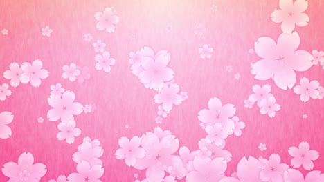 sakura - cherry blossom - japanese style[loop]