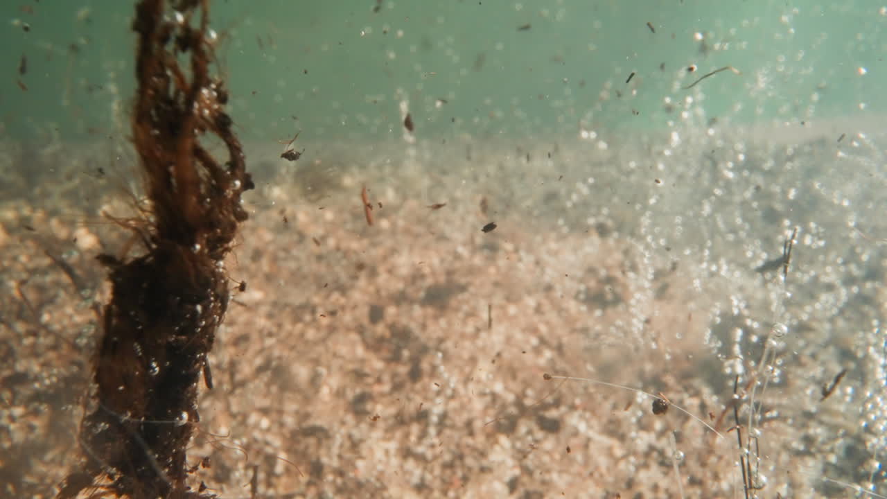 basura en el agua con guijarros y burbujas de aire en el fondo