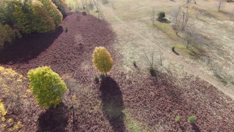 sumérgete en los colores del otoño fov drone