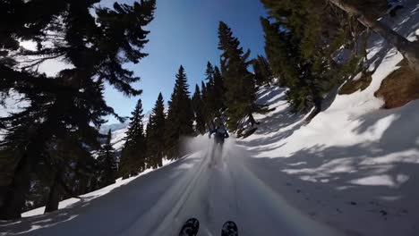 skiing in the mountains