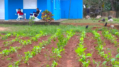 establishing shot of a cuban tobacco farm house with kids on rocking chairs on porch 2