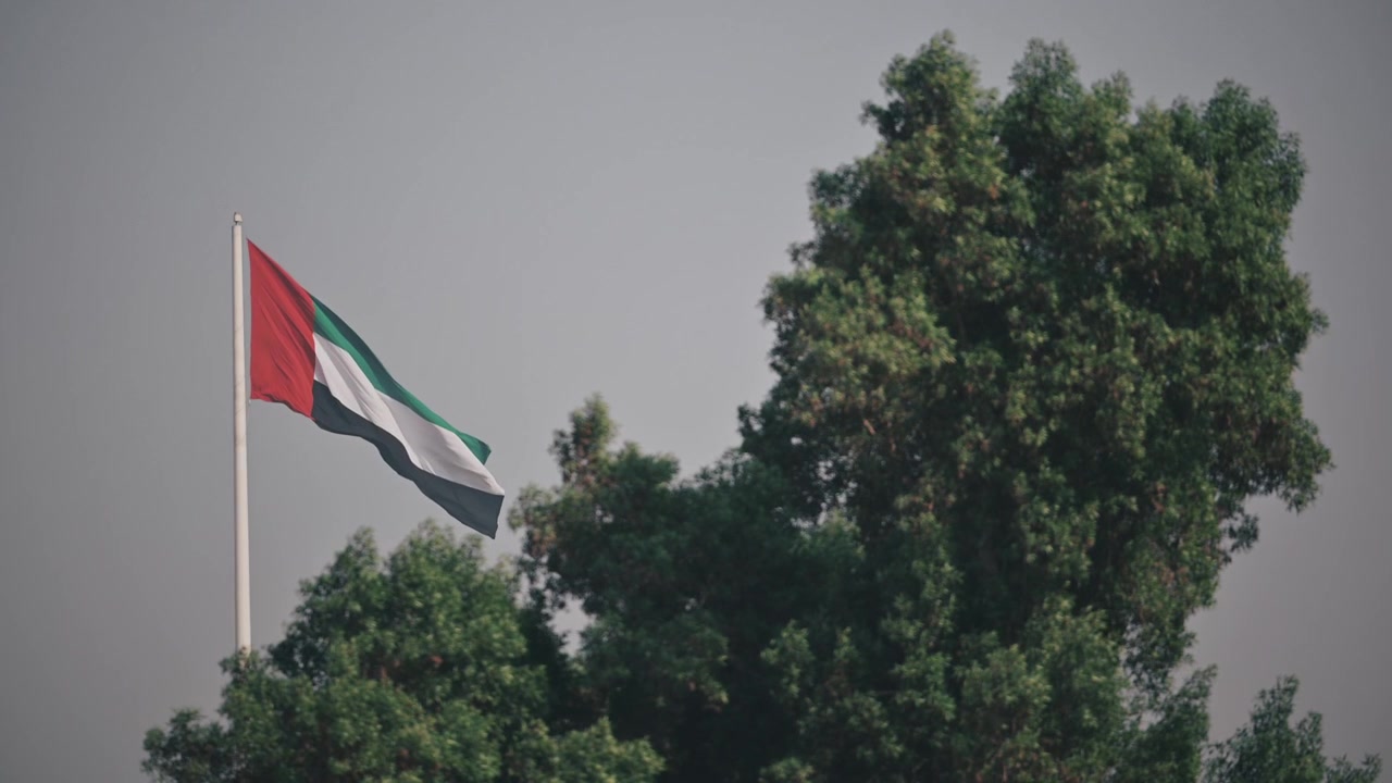 Emirati national flag soaring above green trees in the UAE
