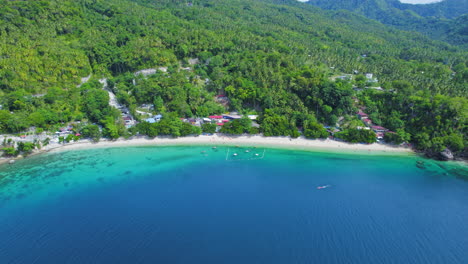 lush green tropical beach with bright blue turquoise water