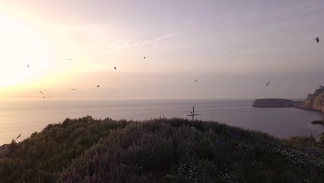 flying over a cliff with a flock of seagulls in the evening