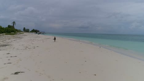 Pov-Sigue-A-Dos-Perros-Que-Corren-Libres-En-Una-Playa-De-Arena-Blanca,-Una-Isla-Tropical-Paradisíaca-Con-Palmeras