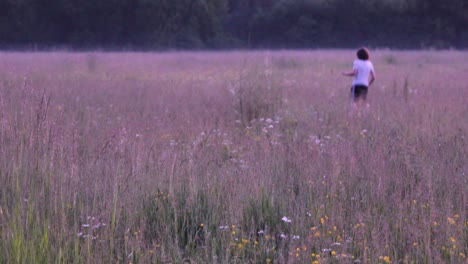 happy boy runs back in the distance with a dog through the high field grass on a summer evening in the fog.countryside