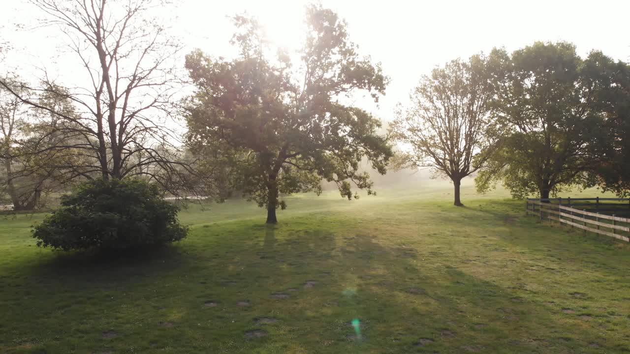 Aerial drone clip a green pasture with trees in the countryside of Thetford, England