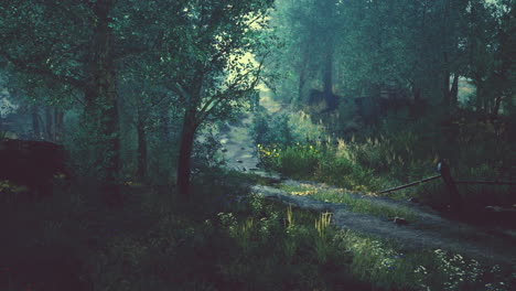 old wooden fence and dirt road in the countryside at summer season