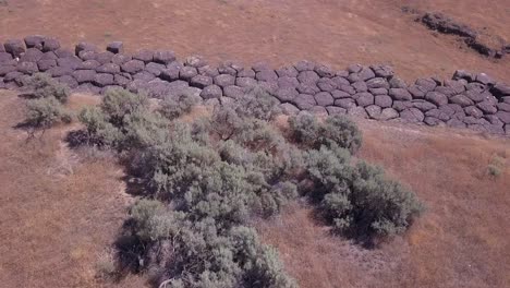 las escamas aéreas se inclinan hacia abajo hasta las cumbres de las columnas de basalto en la cara del acantilado