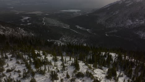 Dense-Forest-In-Snowy-Mountains-In-Mont-du-Lac-a-L'Empeche-In-Quebec,-Canada