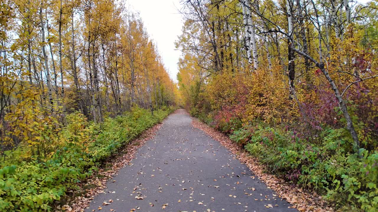 Devon Voyageur Park Long Walk Way