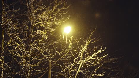 Tarde-Oscura-En-El-Parque-Iluminada-Por-Las-Luces-De-La-Calle-En-Invierno-Con-Nevadas